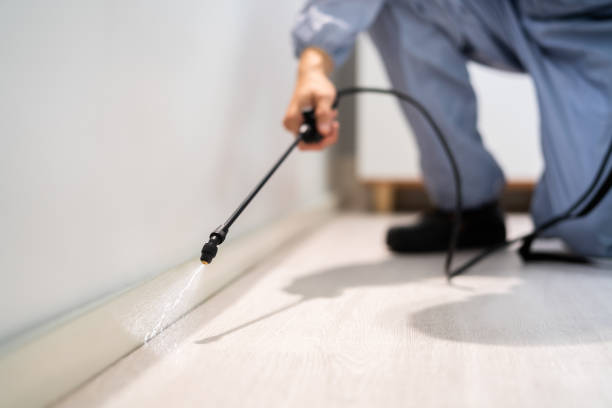 Bed Bug Pre-Treatment Preparation Assessment in Bluefield