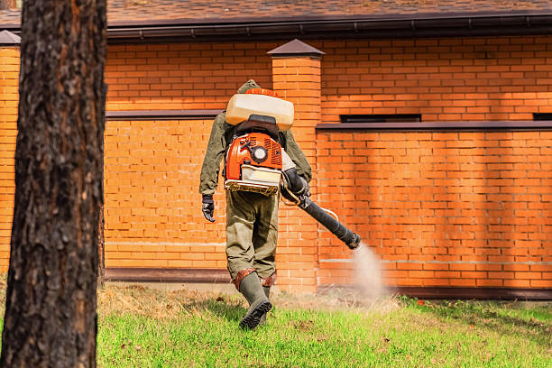 Bed Bug Clearance Verification and Documentation in Bluefield